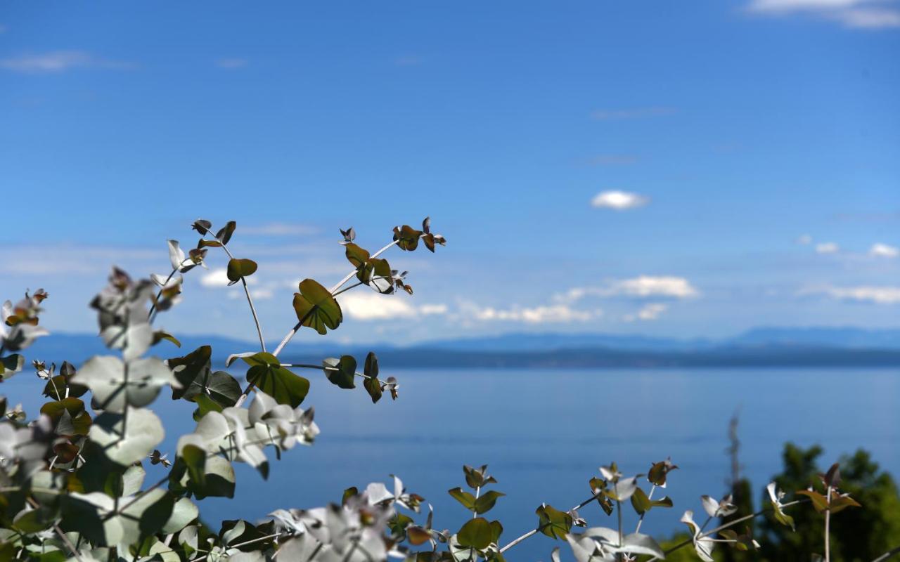 Apartments Near The Beach, With Terraces And Seaview At House B. Mošćenička Draga Exteriör bild